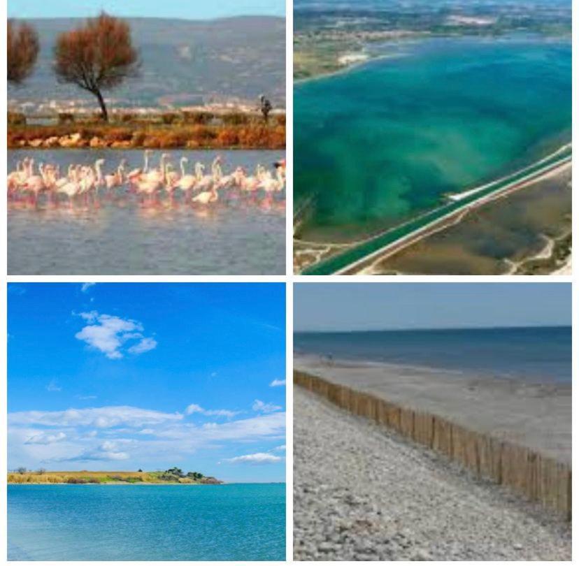 Hotel Camping L'Europe Vic-la-Gardiole Esterno foto